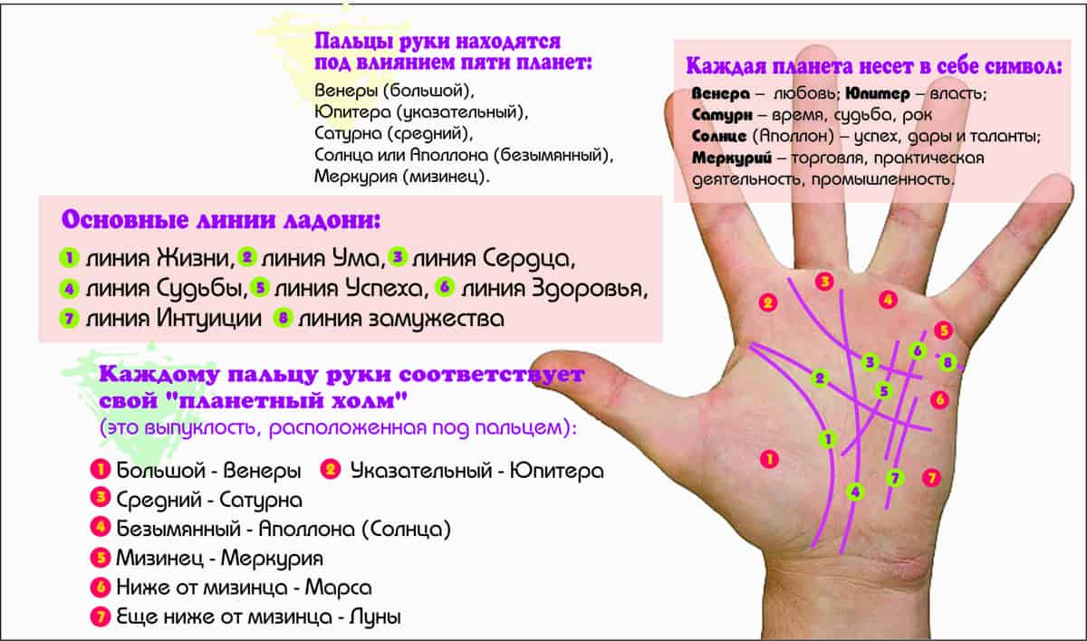 изображение линий на руке и их значение