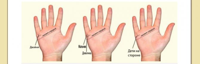 Изображение, которое поможет узнать количество детей по гаданию по руке